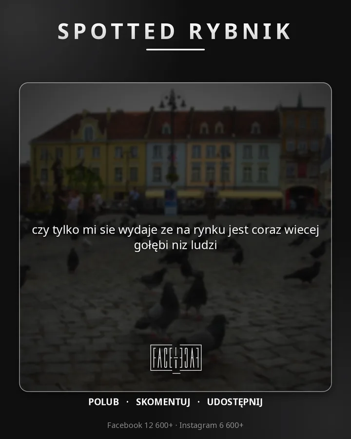 czy tylko mi sie wydaje ze na rynku jest coraz wiecej gołębi niz ludzi