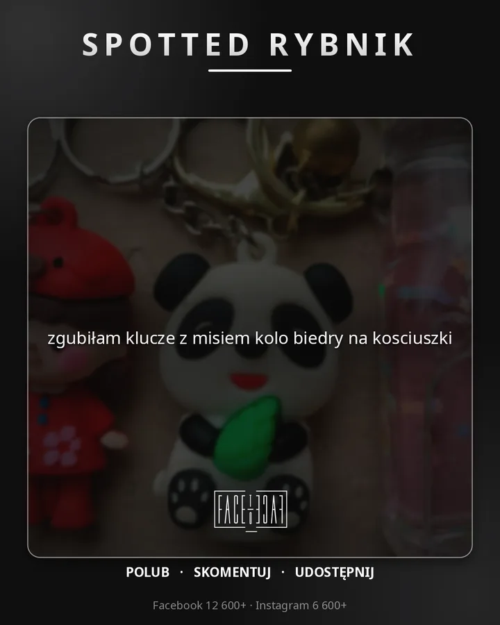 zgubiłam klucze z misiem kolo biedry na kosciuszki